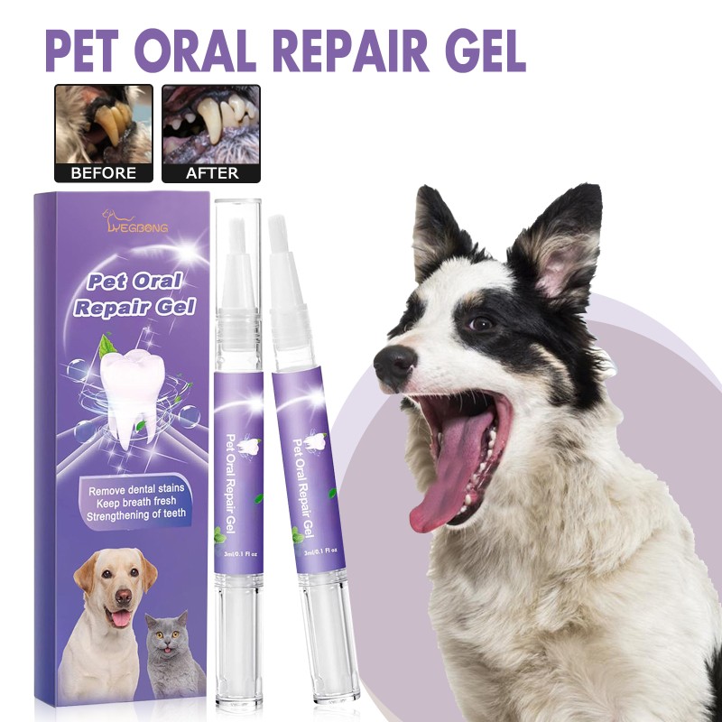 Dental Care Pen Supplier - Custom Plaque Remover for Pet Oral Hygiene