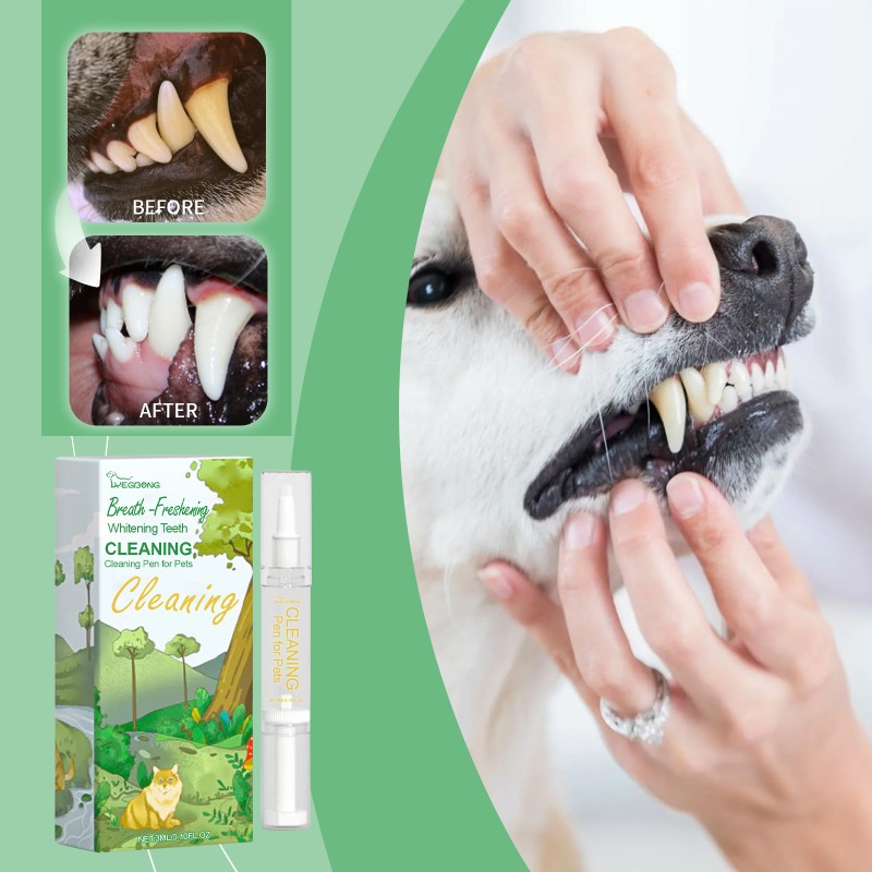 Teeth Whitening Pen Manufacturer - Pet Oral Care Tartar Remover Whitening