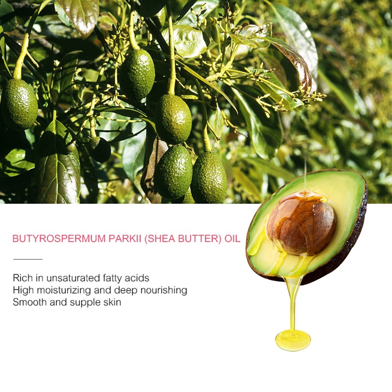 Skin Care Set Factory - Private Label Organic Avocado Rejuvenating