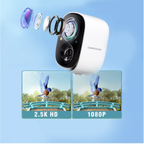 AI Bird Feeder Manufacturer - Smart Recognition Solar Wifi App