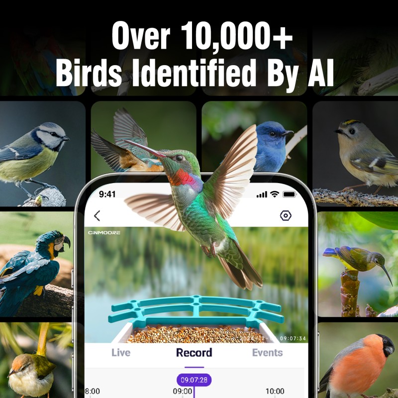 Smart Bird Feeder Factory - 5200mAh Solar AI Night Vision Camera