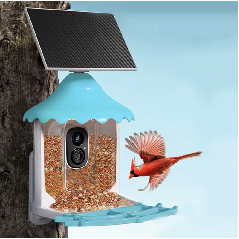 Bird Feeder Camera Factory - HD 2.5k Solar Mobile Viewing Night Vision