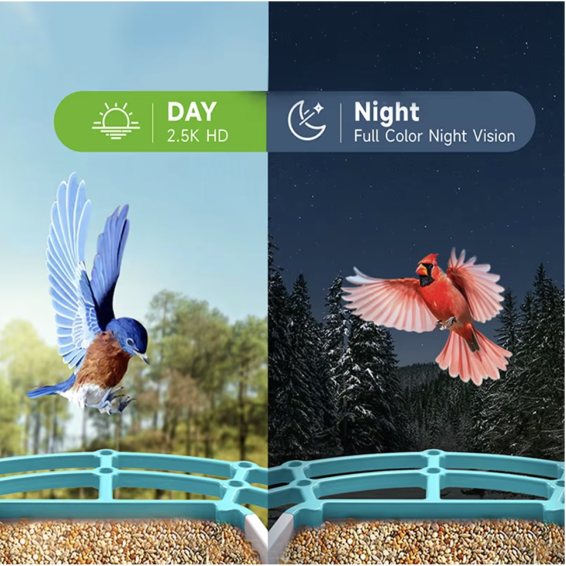 Solar Bird Feeder Manufacturer - Wireless APP Control AI Identification