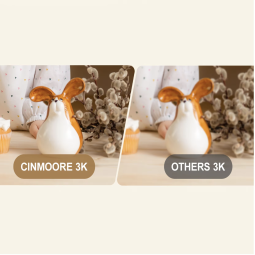 Smart Indoor Camera Manufacturer - 3K Pan Tilt Dual-Band Night Vision