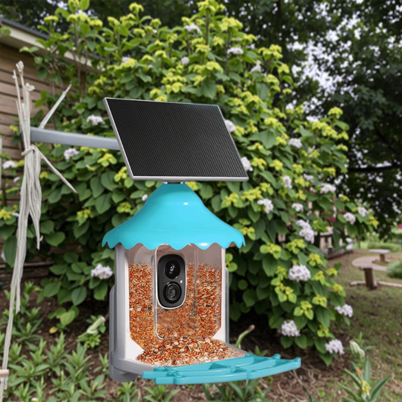 Smart Bird Feeder Manufacturer - AI Solar WiFi Night Vision Video
