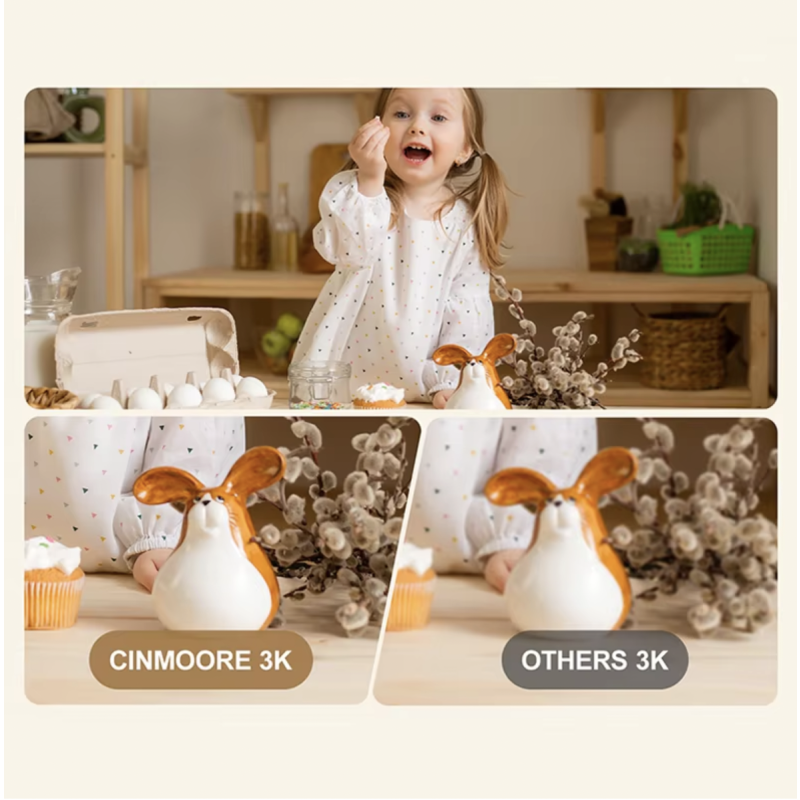 Home Security Camera Factory - Indoor Two-Way Audio SD Card Multifunction