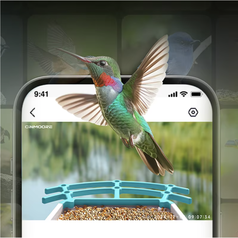 AI Bird Feeder Manufacturer - 1440P HD Auto Recognition Night Vision
