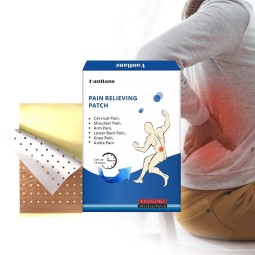 Herbal Pain Relief Plaster Supplier - Natural Extract Long Lasting Joint Pain