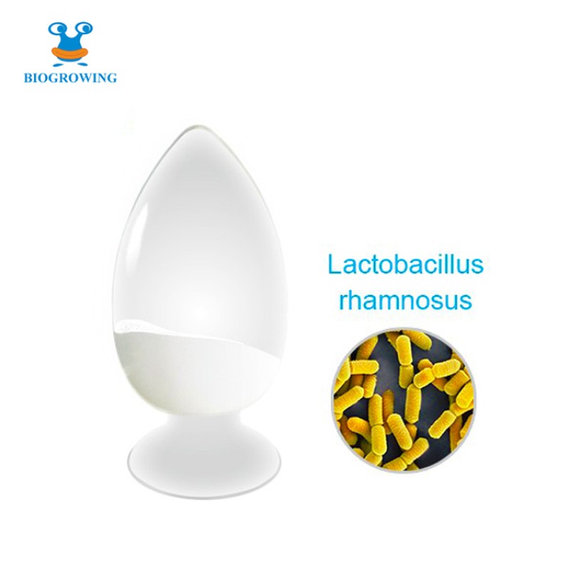 Factory Direct 500 Billion CFU/g OEM Probiotic Powder Lactobacillus Rhamnosus for Female Health