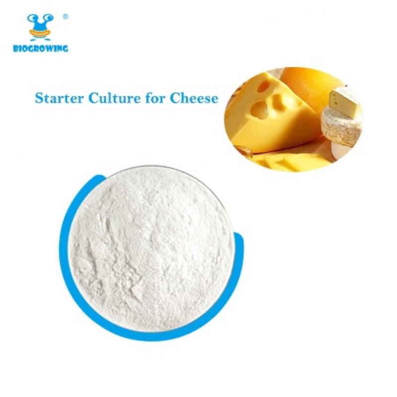 OEM Freeze dried Probiotic Cheese Culture Yoghurt Starter Culture