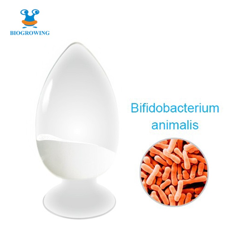 500 Billion CFU/g High Potency GMP Factory Bifidobacterium lactis
