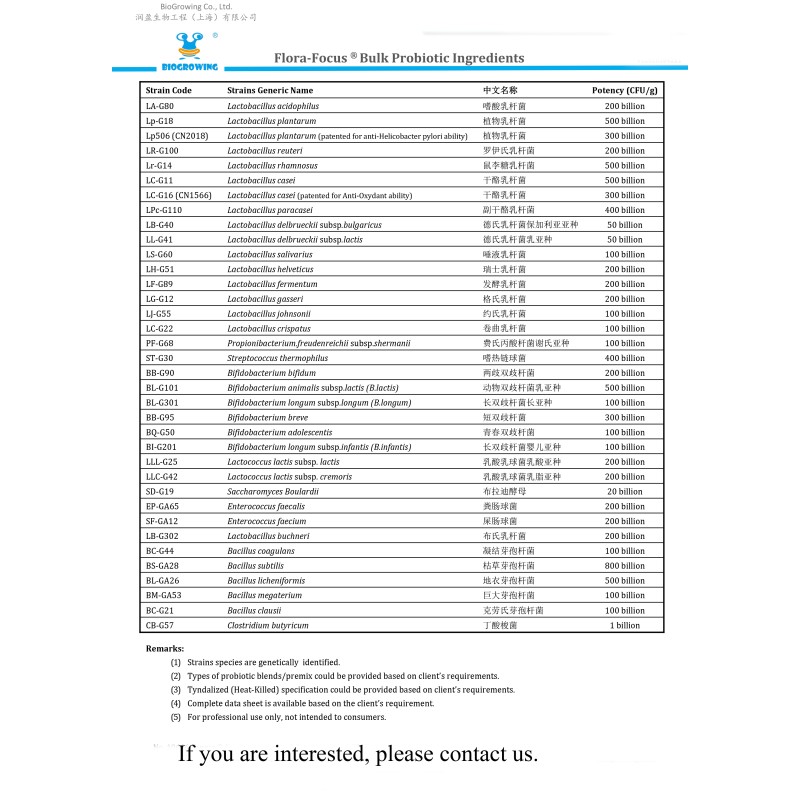 High stability Probiotic blend lactobacillus probiotic lactobacillus helveticus probiotic bacteria