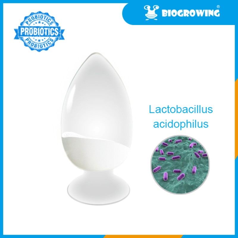 100-500billion Probiotics Lactobacillus gasseri powder
