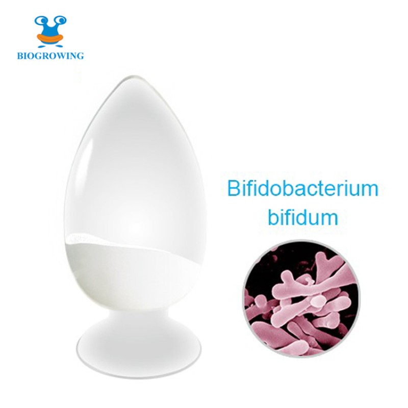 UltraProbiotics - High Potency Bifidobacterium bifidum 200 Billion CFU/g Freeze-Dried Probiotic Powder