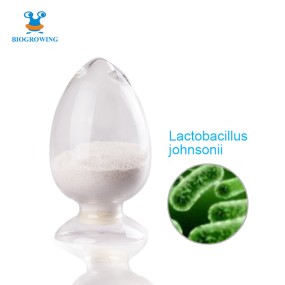 Probiotic Bulk 100 Billion CFU/g  Freeze-dried Probiotic powder Lactobacillus johnsonii