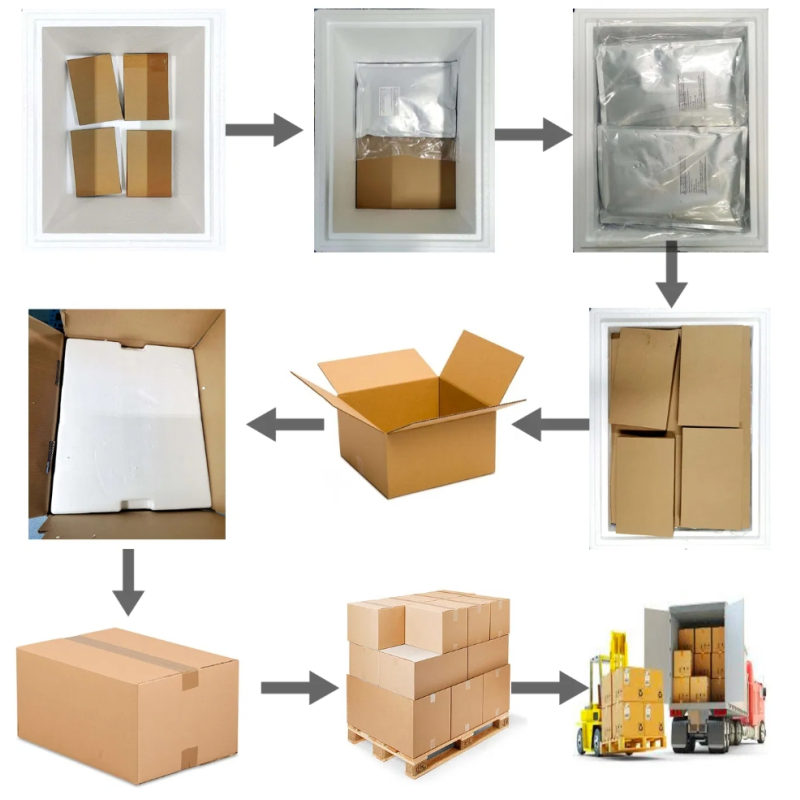 100 Billion CFU/g Probiotic OEM Probiotic Bulk Probiotics Freeze-dried Lactobacillus johnsonii LJ-G55