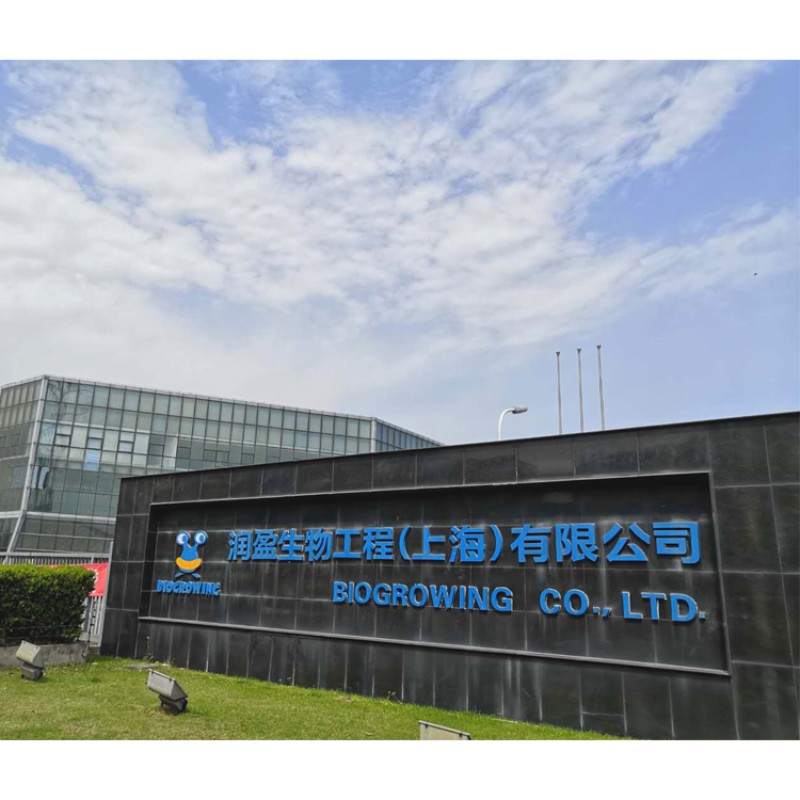 Free Sample Wholesale Yoghurt Thermophilic Dairy Starter Culture  for Industrial Use