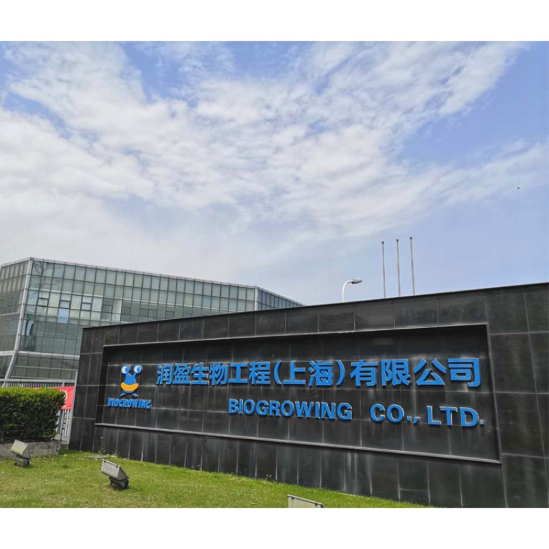 Factory Direct 500 Billion CFU/g OEM Probiotic Powder Lactobacillus Rhamnosus for Female Health