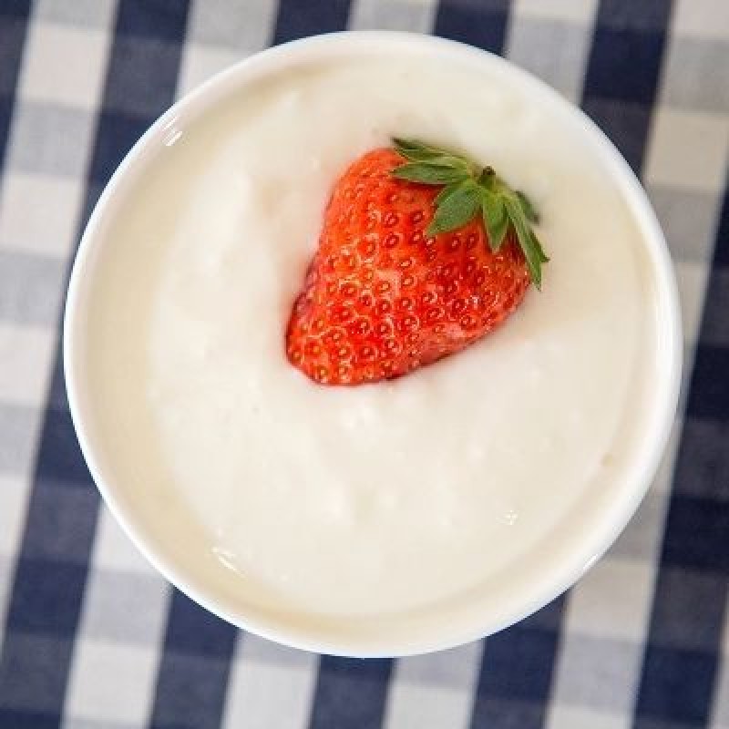 Live Probiotics Starter Cultures DIY Homemade Yogurt Starter Culture Yoghurt Starter