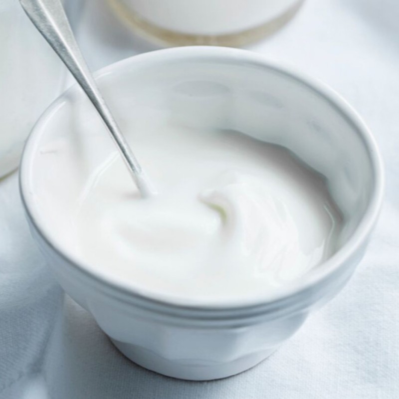 Live Probiotics Starter Cultures DIY Homemade Yogurt Starter Culture Yoghurt Starter