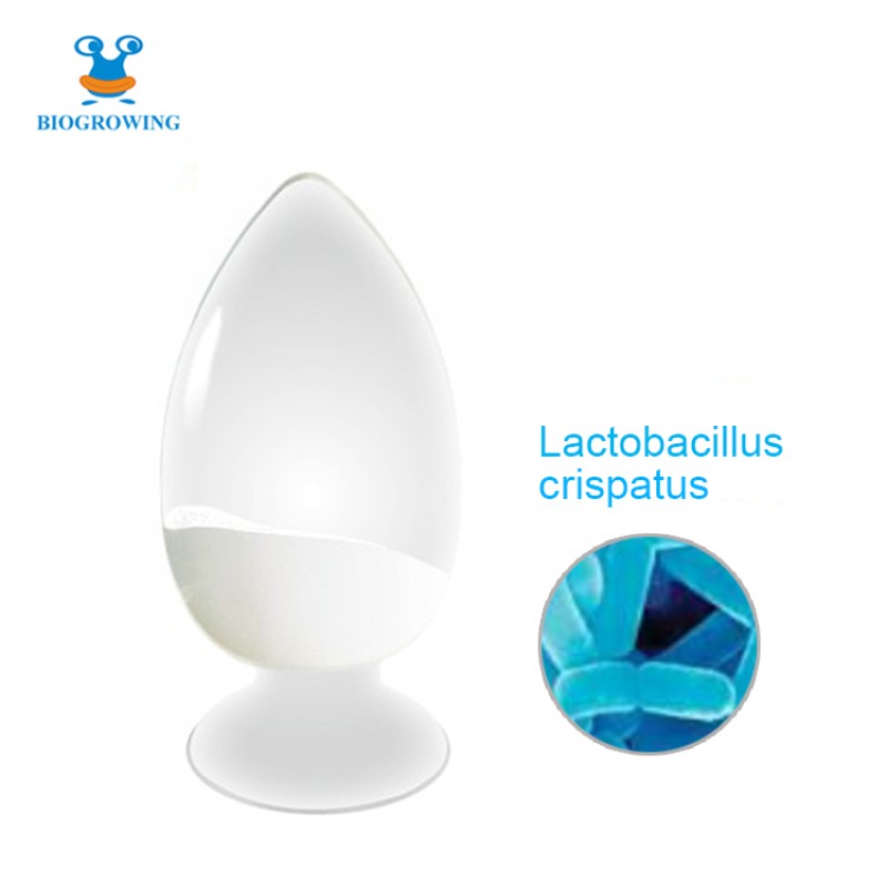 Women's Probiotic - Lactobacillus Crispatus 150 Billion CFU/g for Vaginal Health