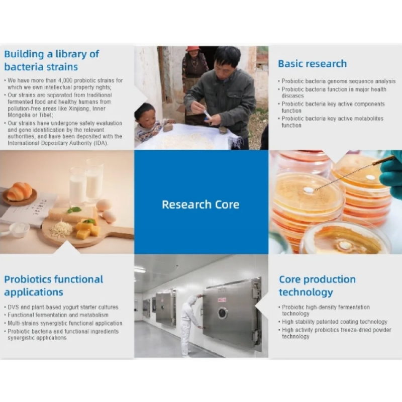 Pro-Immuno Live Probiotic Powder 5 Probiotics Strains PRO-Immuno 10 Billion Cfu