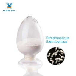 400 Billion CFU/g Freeze-dried Lypholized Probiotics Coated Probiotics Powder Streptococcus Thermophilus