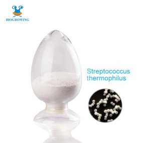 400 Billion CFU/g Freeze-dried Lypholized Probiotics Coated Probiotics Powder Streptococcus Thermophilus