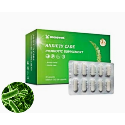 OEM/ODM Probiotic Supplements in Private Label c 10 Billion Cfu/G Capsules Anti-Anxiety Capsules