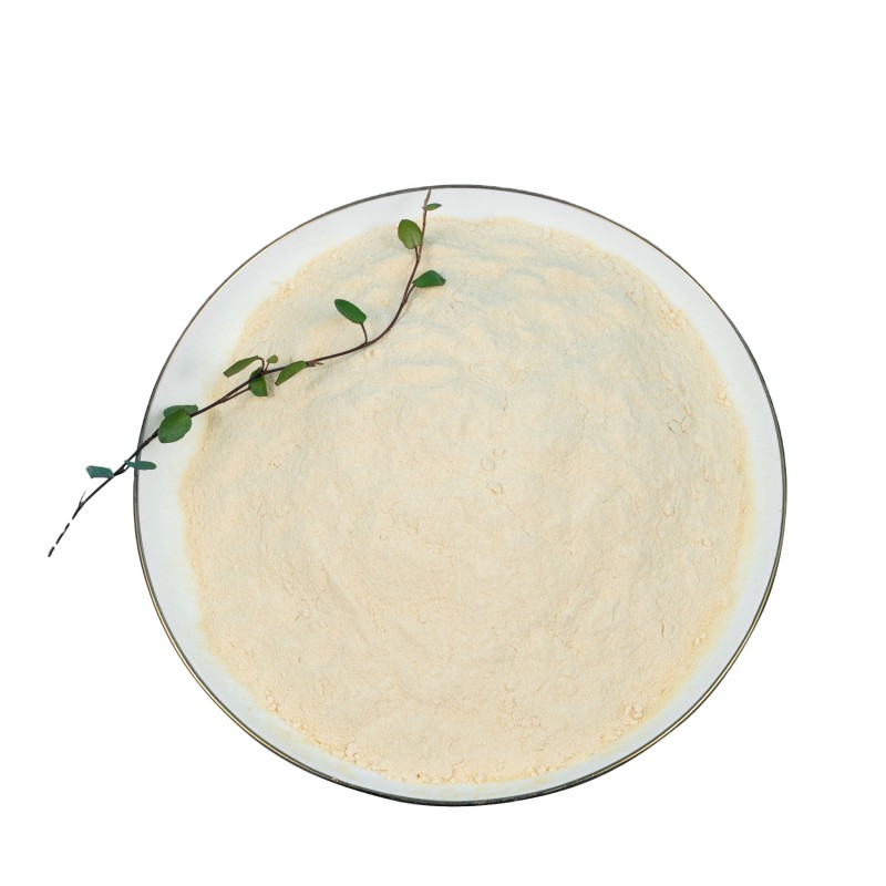 200 Billion CFU per gram Freeze-dried Bifidobacterium Bifidum Probiotic Powder