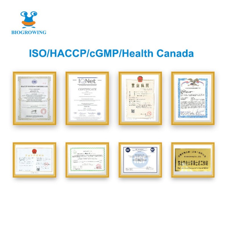 Low Price Probiotics Cheese Culture Yoghurt Starter Culture