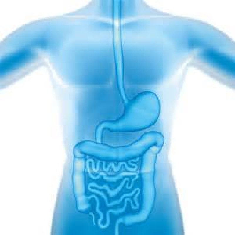 Stomach Care Live Probiotic Powder