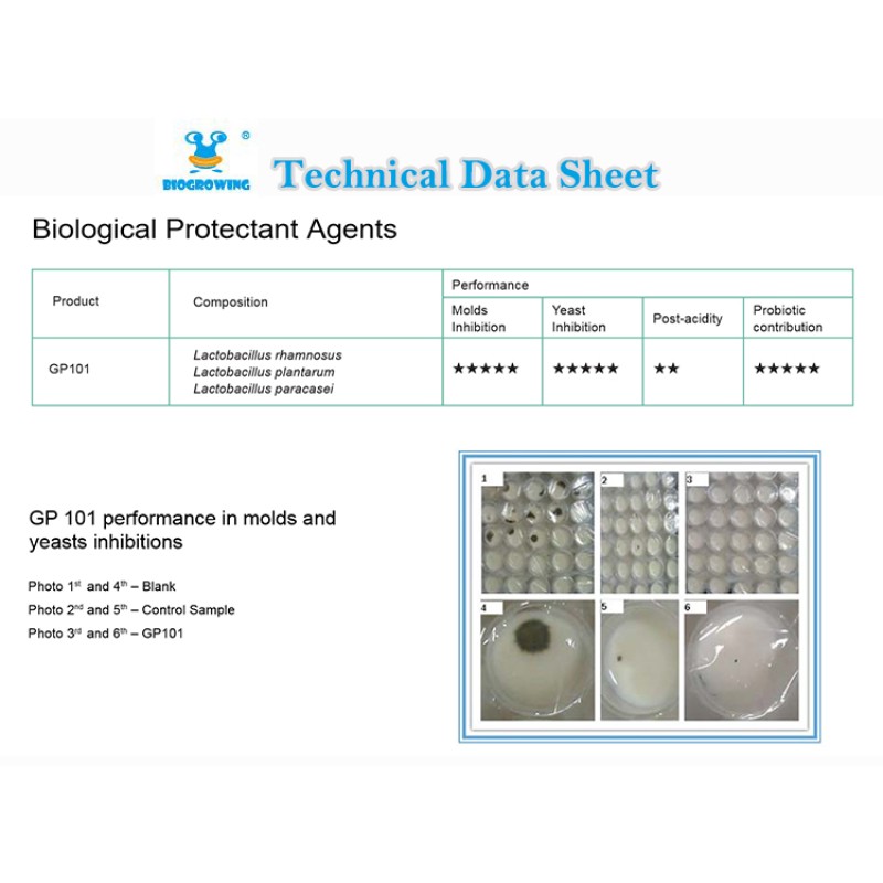 High Potency Probiotic Biological Yoghurt Preservation Natural  Food Preservation in Dairy Products