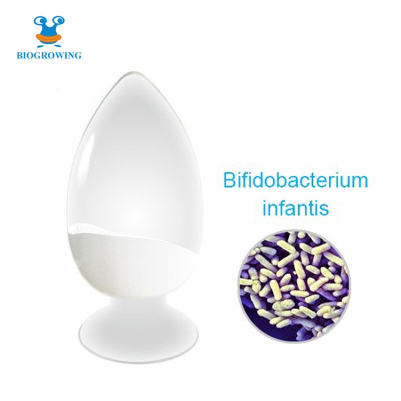 High Stability Freeze-dried  500B CFU/g Bifidobacterium Lactis Probiotic