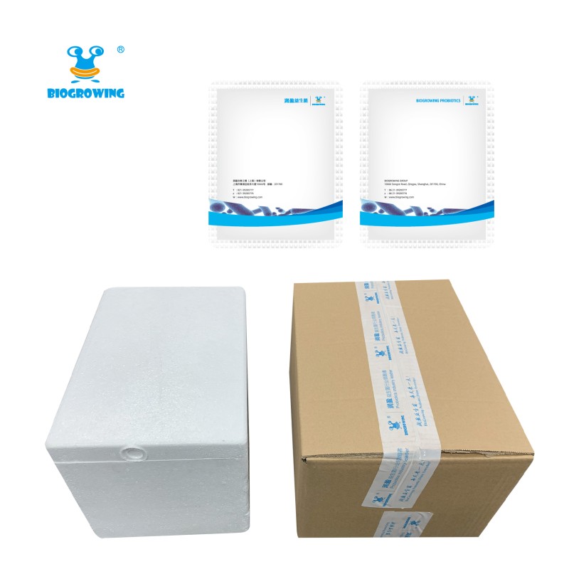 100 Billion CFU/g Probiotics encapsulated probiotics Bifidobacterium Longum