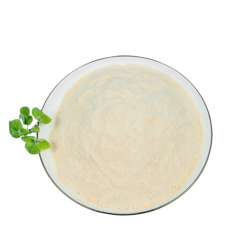 Probiotics Food Additives Probiotic Starter culture for vegetable and fruits