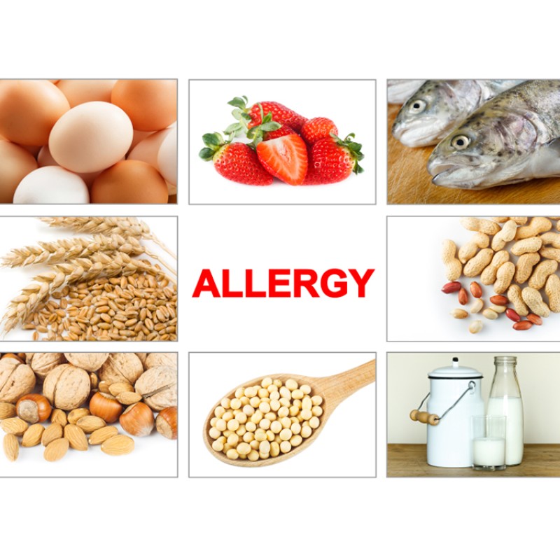 Pro-Immuno Live Probiotic Powder 5 Probiotics Strains PRO-Immuno 10 Billion Cfu