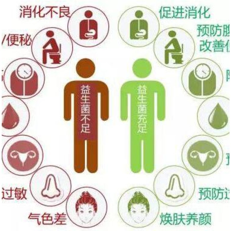 Stomach Care Live Probiotic Powder