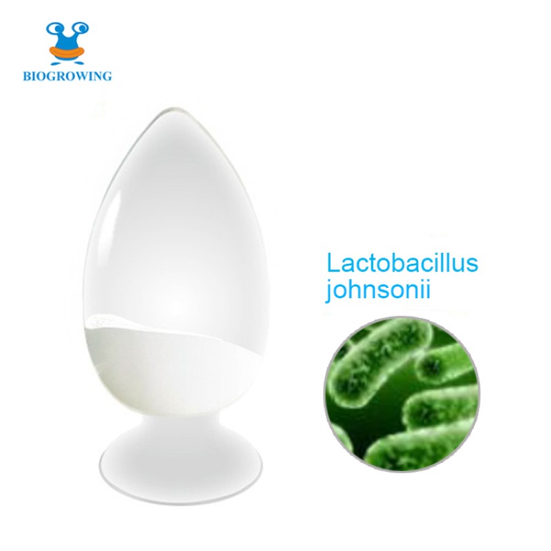 Probiotic Bulk 100 Billion CFU/g  Freeze-dried Probiotic powder Lactobacillus johnsonii