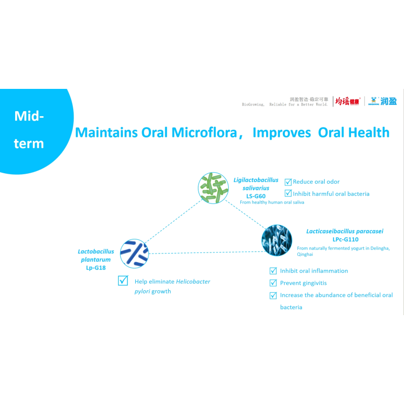 OralBubble OralBubble TM Fresh Breath CFU Per Lozenge Billion 10 Probiotic Microbubble Probiotic Microbubble  Lozenge