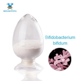 UltraProbiotics - High Potency Bifidobacterium bifidum 200 Billion CFU/g Freeze-Dried Probiotic Powder