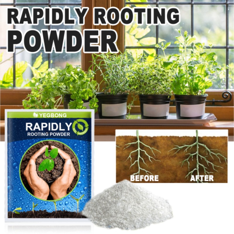 Rooting Powder Factory - Plant Seedling Transplant Nutrition