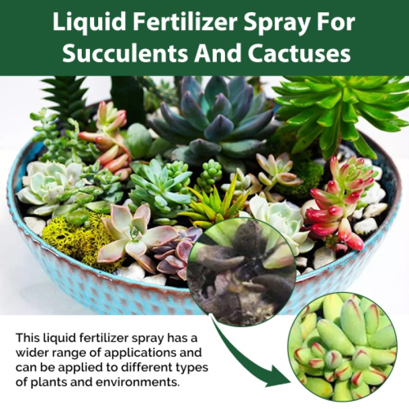 Succulent Fertilizer Supplier - 3-1-2 Liquid Spray Green Plant