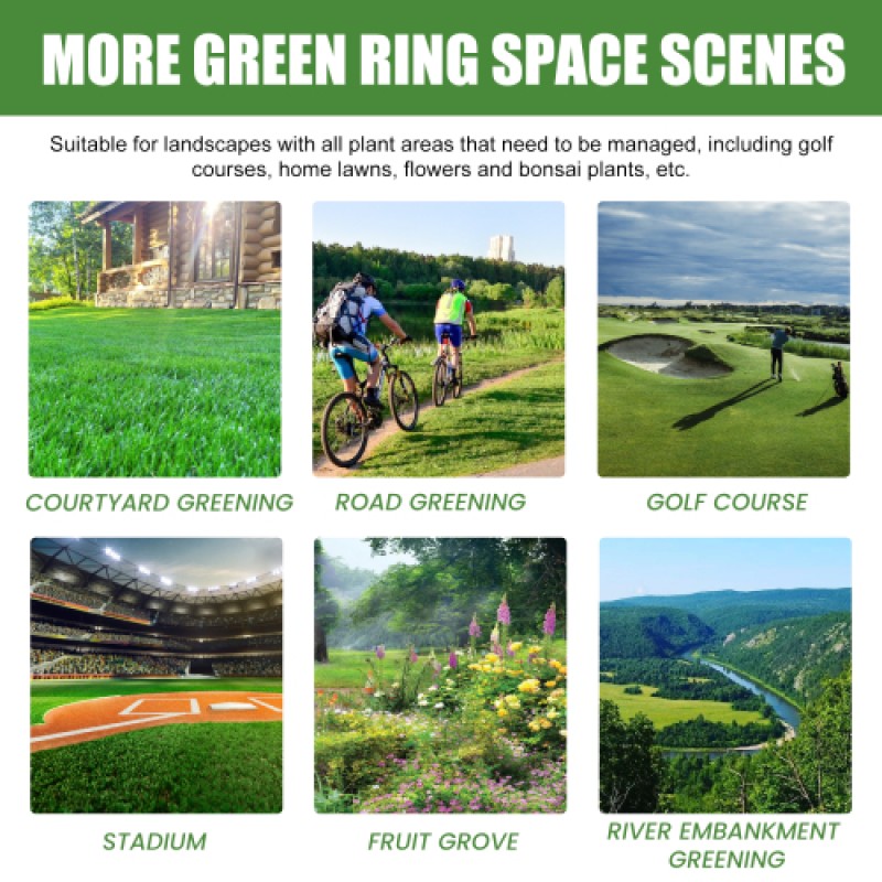 Plant Fertilizer Manufacturer - Potted Lawn Leaf Growth Nutrient