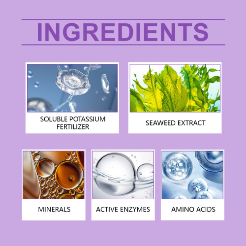 Orchid Nutrient Solution Factory - Flower Green Plant Growth Agent