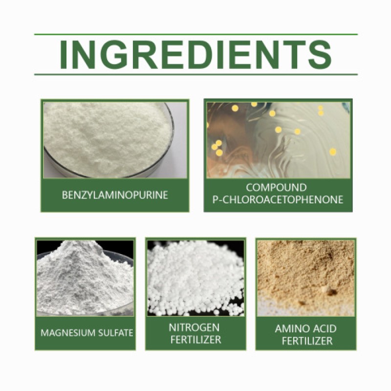 Plant Growth Agent Manufacturer - Concentrated Fertilizer Spray