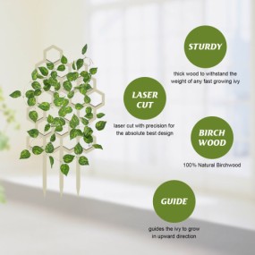 Wooden Plant Trellis Manufacturer - Custom Garden Climbing Pergola Support