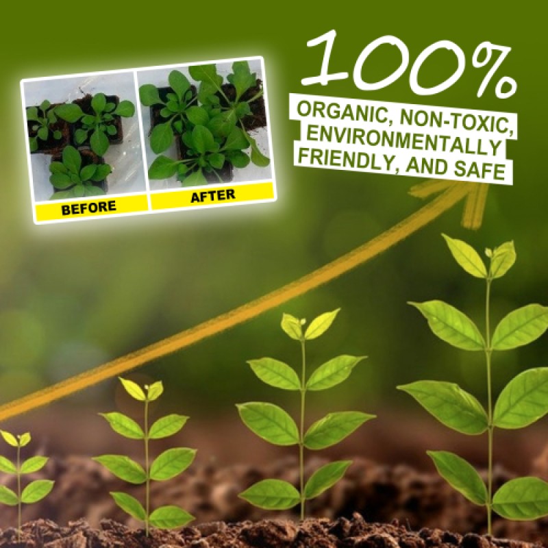 Rooting Powder Factory - Plant Seedling Transplant Nutrition