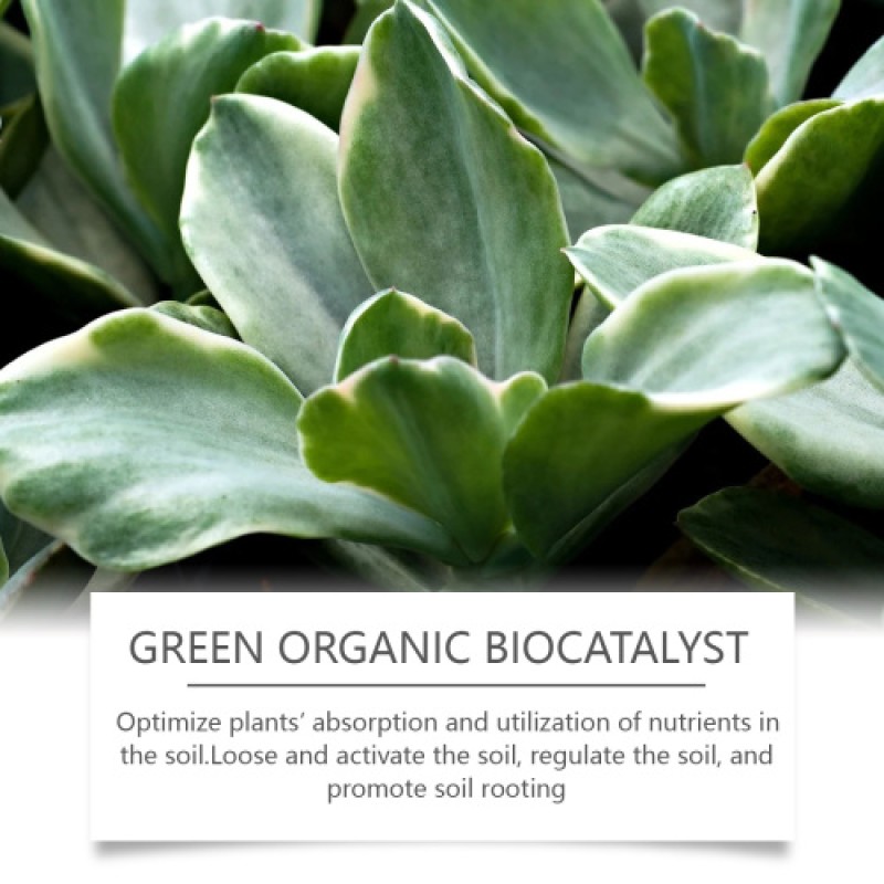 Organic Biocatalyst Manufacturer - Plant Pot Flower Nutrition
