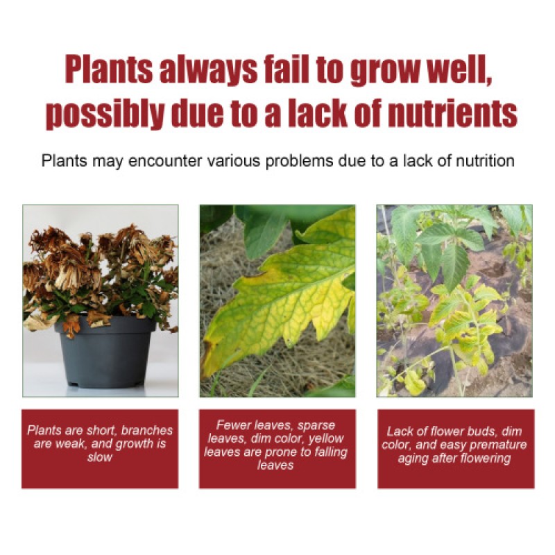 Slow Release Tablets Factory - Organic Compound Flower Fertilizer